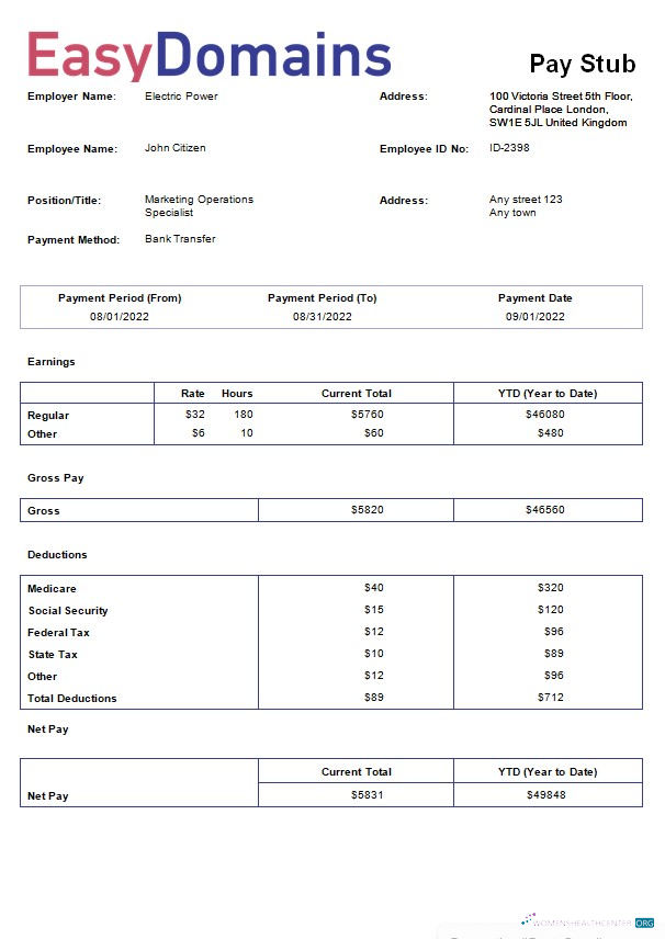 Download domain name registration company payslip template in Word and PDf formats Photoshop template